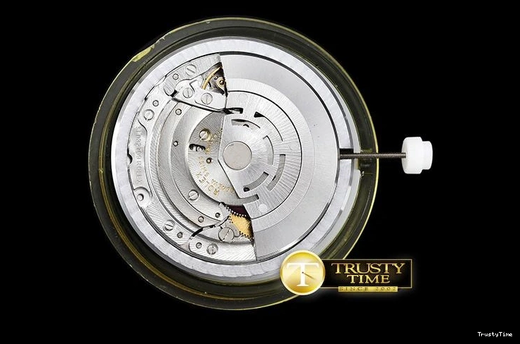 1219 Youthful ROLCEL074D – Cellini 877